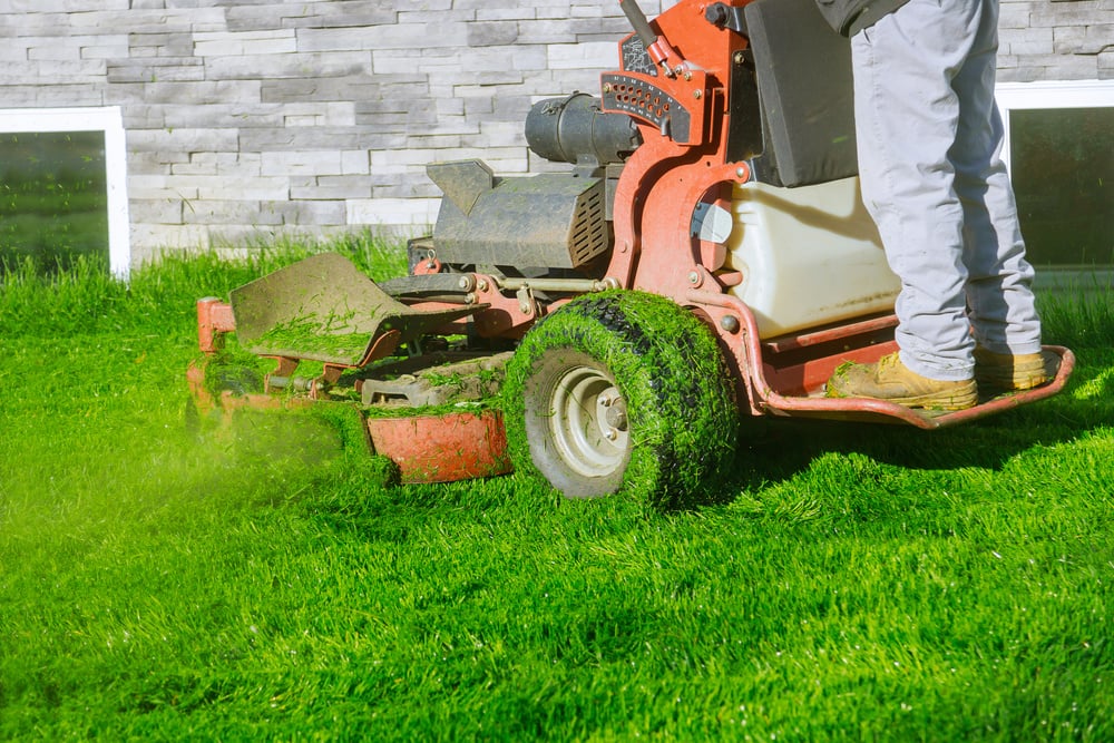 Lawn Mower Cutting the Grass 